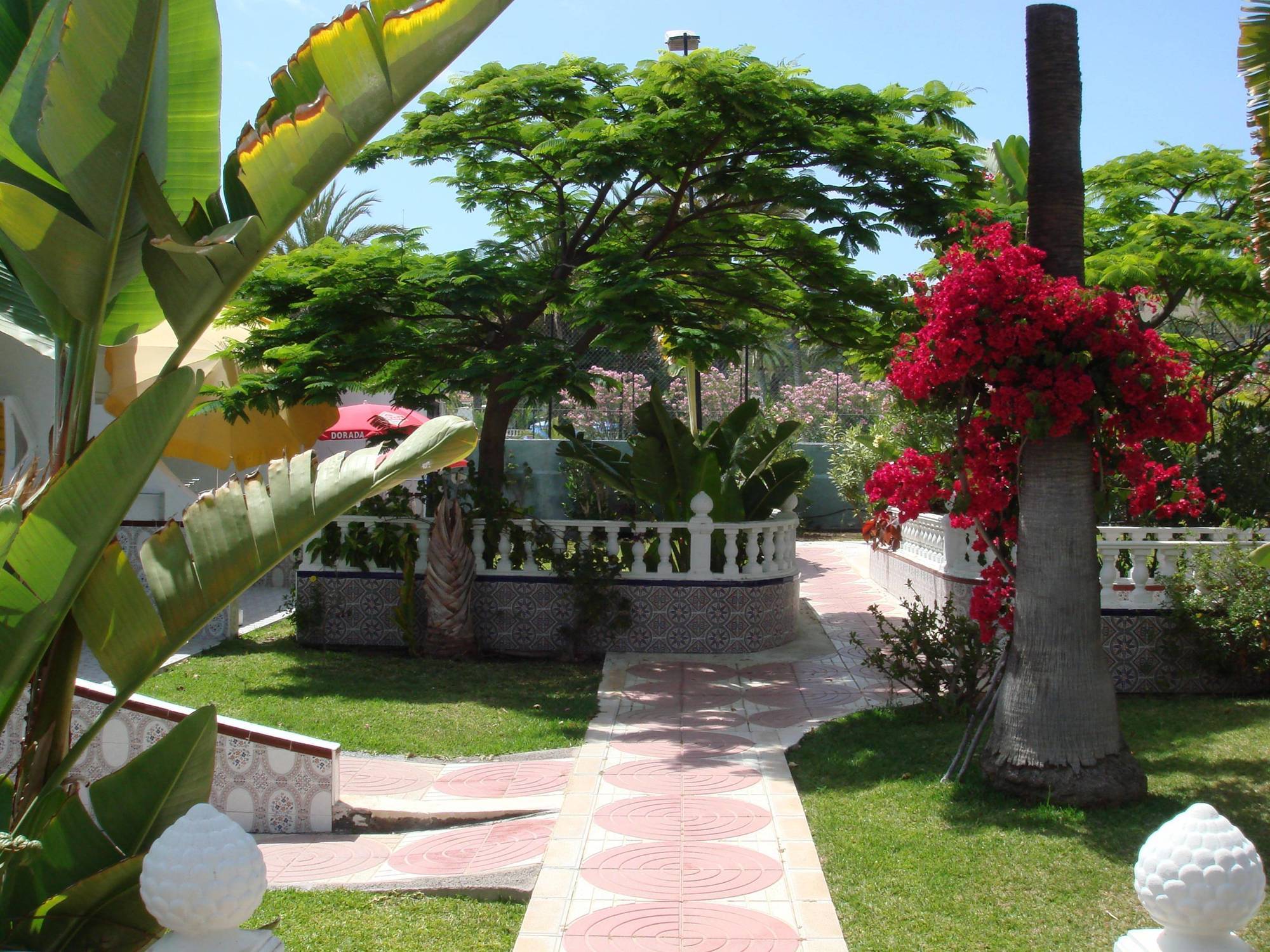 Hotel San Valentin & Terraflor Park Playa del Inglés Exteriér fotografie